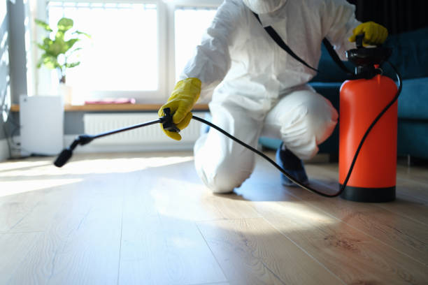 Reliable Odor Removal contractor in Decatur, IL by Trauma Clean Pros